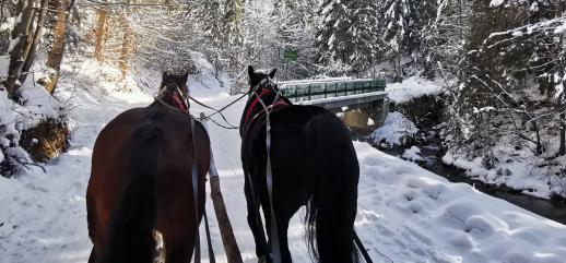  Kuligi w Wiśle – Anielskie Kuligi w Dolinie Białe