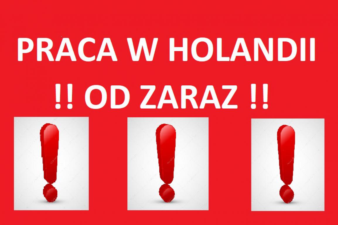 Holandia!! Praca wakacyjna z bonusem!!