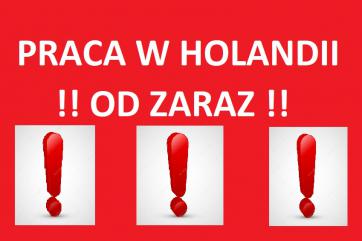Holandia!! Praca wakacyjna z bonusem!!