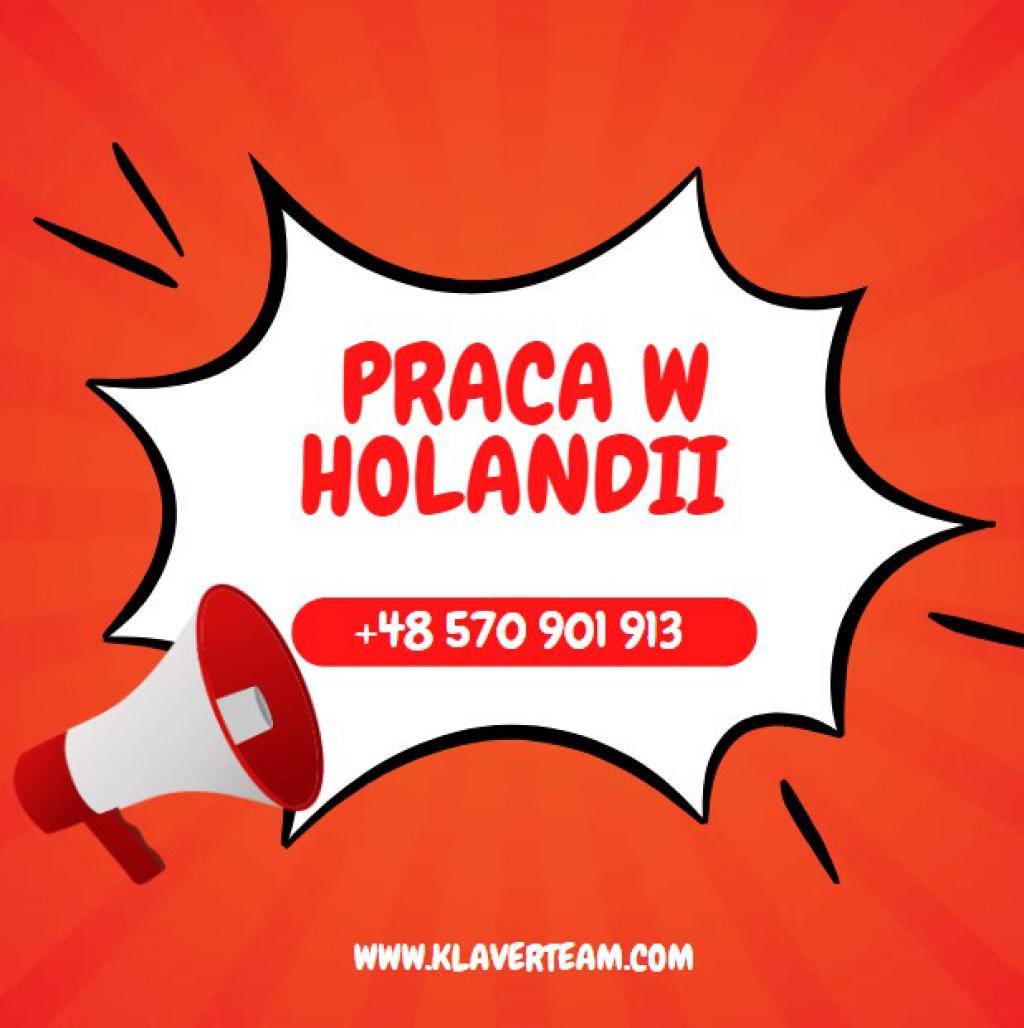 Holandia - pracownicy przetwórstwa drobiu