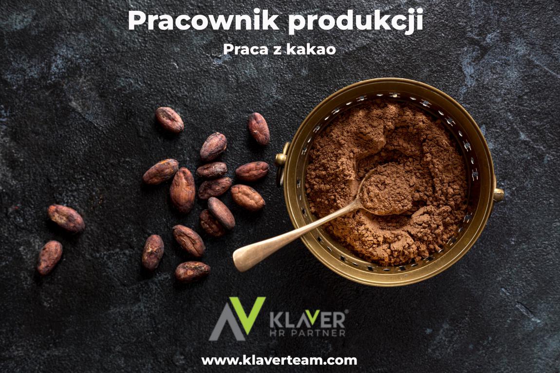 Praca w Holandii-Pracownik produkcji kakao