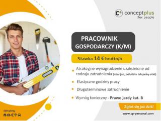 Pracownik gospodarczy (k/m) - Niemcy