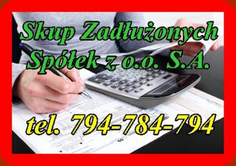 Rozwiązanie Twoich Problemów Finansowych - Skup 