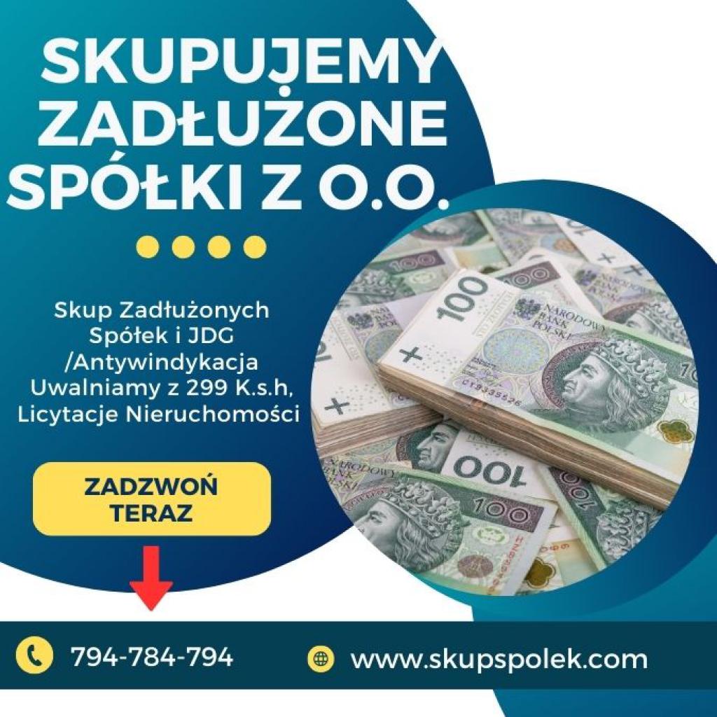 Skup Zadłużonych Spółek i JDG /Antywindykacja 