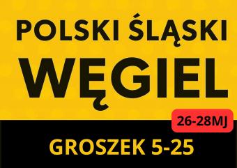 ŚLĄSKI WĘGIEL  GROSZEK 5-25,26-28 MJ 